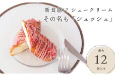 AA-369 お任せ：【10本セット】 新食感!?シュークリーム シュッシュ 5種食べ比べ シューアイス お試し 抹茶ミルクいちごチョコキャラメルナッツコーティング お中元 スイーツギフト お取り寄せ 冷たい 夏 インスタ映え お菓子 贈り物 個包装 送料無料 お見舞い すぐ 届く
