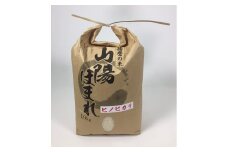 兵庫県播磨産「山陽ほまれ　ヒノヒカリ」10kg