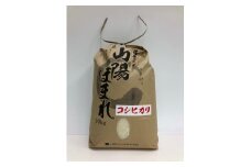 【定期便】兵庫県播磨産「山陽ほまれ　コシヒカリ」または「山陽ほまれ　ヒノヒカリ」10kg 「6回お届け（偶数月発送）」