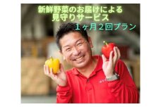 新鮮野菜のお届けによる見守りサービス（１ヶ月２回お届け）  一人暮らし　笑顔と共に　家族愛　見守り　新鮮野菜　　