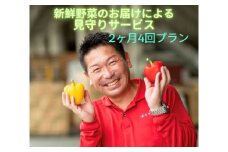  新鮮野菜のお届けによる見守りサービス（2ヶ月4回お届け）　一人暮らし　笑顔と共に　家族愛　見守り　新鮮野菜　宅配
