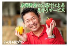  新鮮野菜のお届けによる見守りサービス（2ヶ月4回お届け）　一人暮らし　笑顔と共に　家族愛　見守り　新鮮野菜　宅配