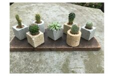 竜山石の植木鉢 〇 ▢ ２個セット  それぞれ黄色か青色を選んで備考欄にお書きください。　優しい肌ざわり　上品と素朴の共存　優しい　柔らか　重厚保感　高級感　ハイアロクラスタイト　稀な石