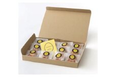 ＋CASTELLA（プラスカステラ）１２個