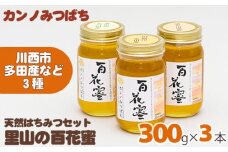 No.093 里山の百花蜜300gセット（天然はちみつセット）