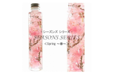 No.014-01 四季のハーバリウム～ SEASONS SERIES ～ Spring（春）
