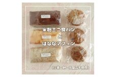 No.011 からだにやさしいおやつ グルテンフリー米粉の焼き菓子・米粉ぱんセット（小麦・卵・乳製品不使用）