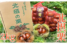 川西特産北摂栗 No.222 ／ くり 秋の味覚 食べ物 北摂栗 栗 人気 和 ギフト プレゼント お取り寄せ グルメ