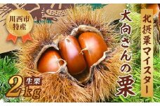 《先行予約》 数量限定 北摂栗マイスターが育てた 川西特産北摂栗 銀寄 2kg 【2025年11月上旬頃発送】 No.222 ／ くり 秋の味覚 旬 生栗 食べ物 北摂栗 栗 人気 和 ギフト プレゼント お取り寄せ グルメ  マロン 和栗 焼き栗 栗ごはん 焼き栗 国産 果物 兵庫県 川西市