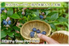 No.258 里山ブルーベリー狩り体験大人2名様（農園カフェWaccaランチ2食付） ／ チケット 無農薬栽培 ランチ付き 兵庫県