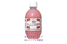 No.307 赤いハーブと乳酸菌 ／ コラーゲン 植物由来 豆乳 兵庫県