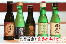 No.310 兵庫五国！定番お手軽セット ／ お酒 日本酒 飲み比べ 清酒 川西市