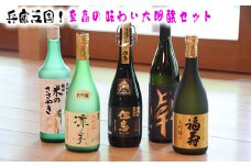 No.313 兵庫五国！至高の味わい大吟醸セット ／ お酒 日本酒 飲み比べ 清酒 川西市