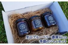 No.355 里山ブルーベリー農園Wacca季節のジャムセット ／ 果実 ギフト 手作り 兵庫県