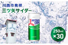 三ツ矢サイダー 缶 250ml 30本（30本入×1ケース） ／ サイダー ジュース 炭酸 飲料 缶 まとめ買い ケース買い アサヒ 人気 定番 有名 送料無料 兵庫県 川西市 No.385 KWNQ002