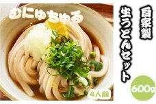 No.463 【むにゅちゅるぴちなうどん：絹延橋うどん研究所】国産＆自家製粉うどん ／ ウドン 饂飩 国産野菜 天然醸造醤油 手作り 生うどん 掛け出し 大根おろし ネギ 兵庫県