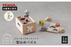 No.464-03 スタッキングボックストイ ひこうき（型はめパズル）