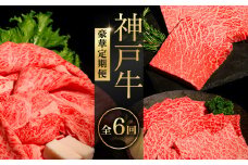 神戸牛ステーキ豪華定期便　全6回 ふるさと納税 牛肉 ブランド和牛 国産 和牛 神戸牛 神戸ビーフ 定期便 6回 ステーキ サーロイン モモ ヘレ 肩ロース 豪華 切り落とし もも 兵庫県 神戸 川西 川西市 KWNCI012