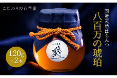蜂蜜 八百万の琥珀(国産天然はちみつ)120g×2本(計240g)[ はちみつ ハチミツ 国産 百花蜜 ]