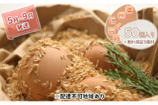 【5月～9月発送】『播州こく旨卵』50個入り＋割れ保証5個付