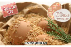 【10月～4月発送】『播州こく旨卵』50個入り＋割れ保証5個付