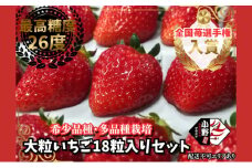 【予約受付】いちご 18粒入りセット 2026年1月以降順次発送予定[ イチゴ 苺 フルーツ 果物 新鮮 糖度 ] 果物類 大粒 
