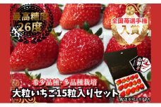 【予約受付】大粒いちご 15粒入りセット 2026年1月以降順次発送予定[ いちご イチゴ 苺 フルーツ 果物 新鮮 糖度 ] 果物類 