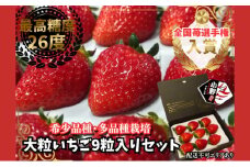 【予約受付】特大粒いちご 9粒入りセット 2026年1月以降順次発送予定[ いちご イチゴ 苺 大粒 フルーツ 果物 新鮮 糖度 ] 果物類 