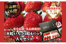 【予約受付】超特大粒いちご3粒入り4パックセット 2026年1月以降順次発送予定[ いちご イチゴ 苺 大粒 フルーツ 果物 新鮮 糖度 ] 果物類 