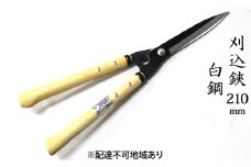 刈込鋏 210mm 菊蔵 短柄 白鋼 裏スキ