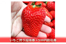 いちご狩り招待券＋500円割引券
