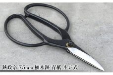 鋏政宗 75mm 植木鋏 青紙 ネジ式