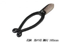 国栄 池の坊 花鋏 5.5寸（165mm）鋼付 イブシ ワラビ 生け花 生花