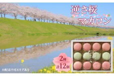 逆さ桜 マカロン 2種 食べ比べ 計12個[ スイーツ 洋菓子 焼菓子 ]