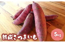 訳あり 熟成 さつまいも 5kgセット[ 不揃い 野菜 ]
