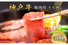神戸牛  焼肉用 モモ肉 500g  [ 肉 牛肉 焼肉  BBQ モモ もも 焼き肉 やきにく バーベキュー 神戸ビーフ ブランド牛 冷蔵 兵庫県 小野市 ]