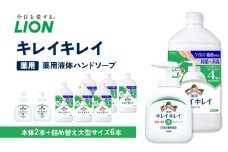キレイキレイ薬用液体ハンドソープ（本体2本＋替特大6本）