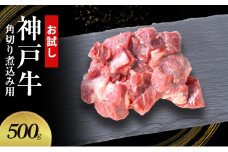 【お試し用】【神戸牛】角切り　煮込み用　500g(250g×2P)〔 牛肉 国産牛 和牛 お肉 肉 霜降り おすすめ 高級 グルメ お祝い 冷凍 〕
