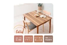 継ぎ脚ダイニングこたつ Cilla(シーラ) 90×70幅 ホワイト