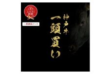 【和牛セレブ】神戸牛一頭分のセレブ体験（一括納品コース）/ 神戸ビーフ BBQ 牛肉 冷凍 ブランド牛 兵庫県 小野市