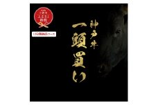 【和牛セレブ】神戸牛一頭分のセレブ体験（12分割納品コース）/ 神戸ビーフ BBQ 牛肉 冷凍 ブランド牛 兵庫県 小野市
