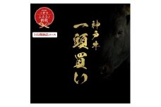 【和牛セレブ】神戸牛一頭分のセレブ体験（24分割納品コース）/ 神戸ビーフ BBQ 牛肉 冷凍 ブランド牛 兵庫県 小野市