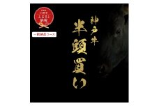 【和牛セレブ】神戸牛半頭分のセレブ体験（一括納品コース）/ 神戸ビーフ BBQ 牛肉 冷凍 ブランド牛 兵庫県 小野市