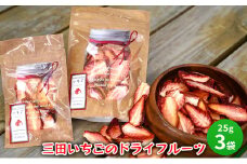 【ふるさと納税】 三田 いちごのドライフルーツ 特産 産地 健康 便利 いちご イチゴ 苺 ドライ ドライフルーツ 食品 ギフト  ふるさと納税 ふるさと 人気 おすすめ 送料無料 兵庫県 三田市 [3d28bae310004]