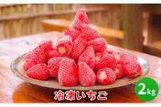 【ふるさと納税】 冷凍 いちご 2キロ 冷凍品 アイス 夏 苺 イチゴ ストロベリー 果物 スイーツ おやつ 冷たい 食品 ギフト ふるさと納税 ふるさと 人気 おすすめ 送料無料 兵庫県 三田市 [3d28bae310005]