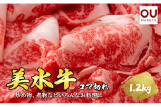 美水牛 コマ切れ ( 1200ｇ (400ｇ×3) 冷凍品 牛肉 ギフト 肉 お祝い 但馬牛 神戸牛 三田牛 数量限定 訳あり ふるさと納税 ふるさと 人気 おすすめ 送料無料 兵庫県 三田市 [3d28bae590010]