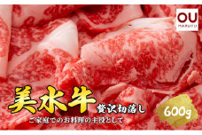 【ふるさと納税】美水牛 贅沢 切落し 600ｇ ( 200ｇ×３ ) 牛肉 冷凍品 ギフト 肉 お祝い 但馬牛 神戸牛 三田牛 数量限定 訳あり ふるさと納税 ふるさと 人気 おすすめ 送料無料 兵庫県 三田市 [3d28bae590012]