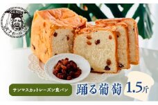 【ふるさと納税】 踊る葡萄 サンマスカット レーズン 1.5斤 パン ぱん 食パン ブレッド おいしい 朝食 朝ごはん 朝  数量限定 訳あり ふるさと納税 ふるさと 人気 おすすめ 送料無料 兵庫県 三田市 [3d28bae530012]