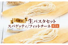 【ふるさと納税】低糖質生パスタセットギフト ( 低糖質スパゲッティ１００ｇ×５玉 / 低糖質フェットチーネ８０ｇ×５玉 ) パスタ 健康 健康食品 低糖質 数量限定 期間限定 人気 おすすめ 送料無料 兵庫県 三田市 [3d28bae560006]
