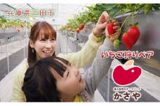 【ふるさと納税】 かさやいちご園 ( いちご狩りペア券 ) いちご 苺 いちご狩り フルーツ狩り 果物狩り イチゴ 体験 チケット 体験型 お出かけ レジャー ギフト お祝い 期間限定 ふるさと納税 ふるさと 人気 おすすめ 送料無料 兵庫県 三田市 [3d28bae660012]